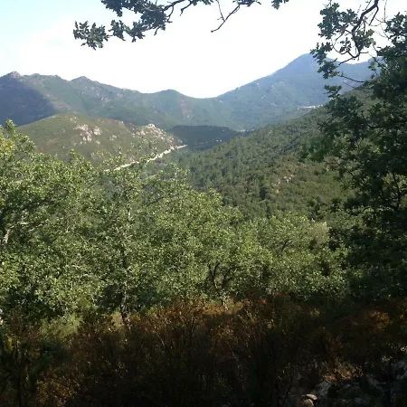 Casa Eugenie, L'authentique De Jules Felix Apartmán Venaco (Corsica)